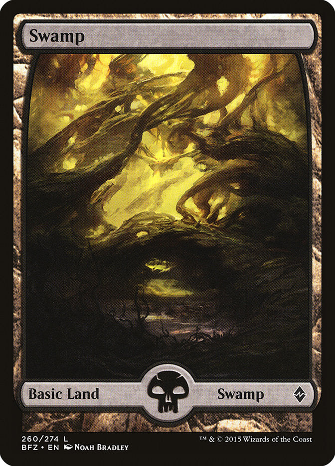 Swamp (260) - Full Art (260) (BFZ)