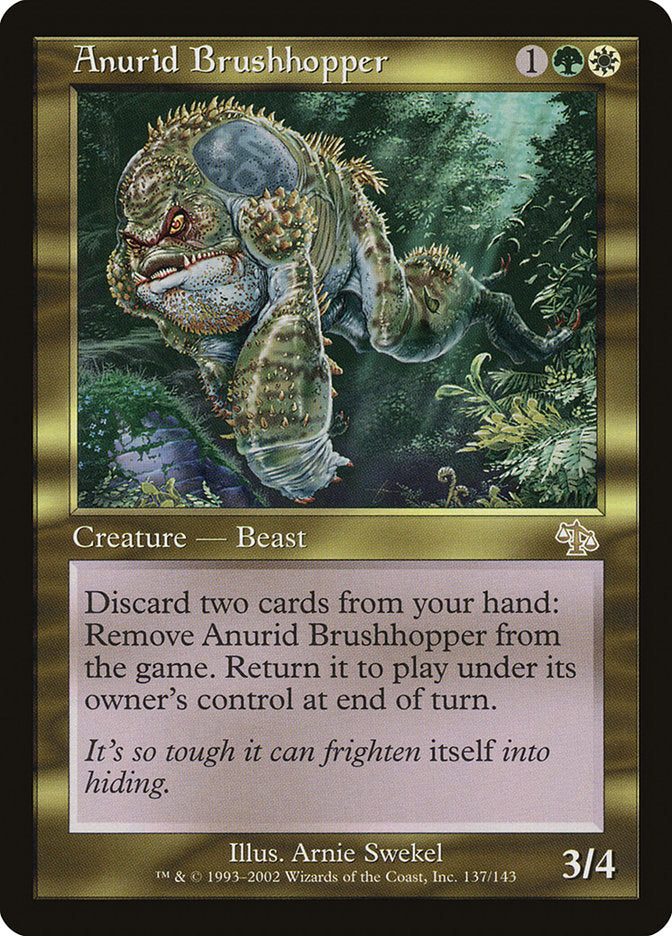 Anurid Brushhopper (137) (JUD)