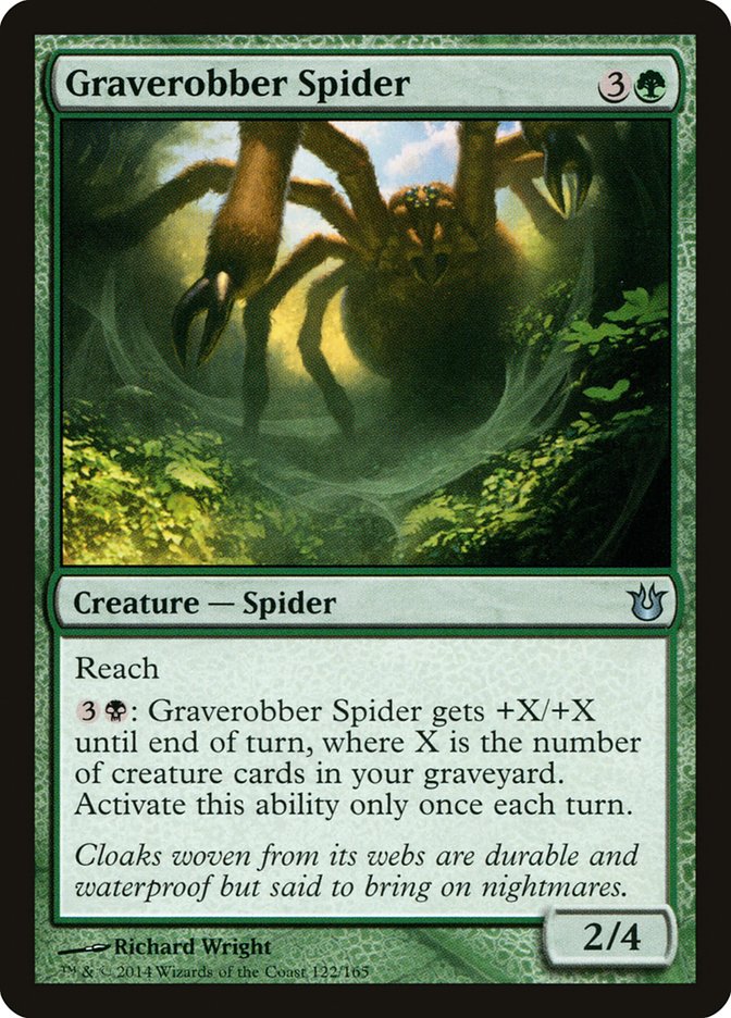 Graverobber Spider (122) (BNG)