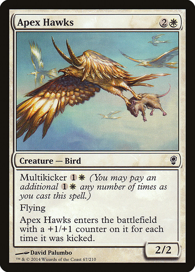 Apex Hawks (67) (CNS)