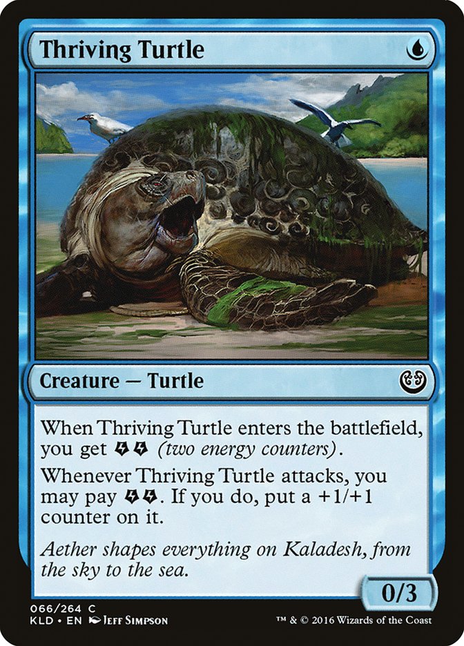 Thriving Turtle (66) (KLD)