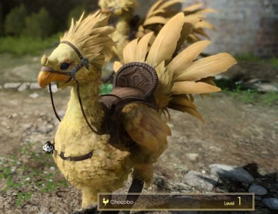 FF Draft - Chocobo Racing Event Series Ticket - Jul 05