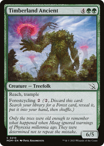 Timberland Ancient (210) (MOM)