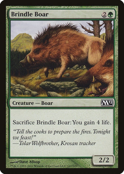Brindle Boar (167) (M12)