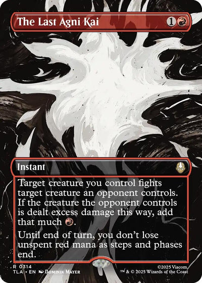 The Last Agni Kai (Borderless) (Avatar: The Last Airbender) (314)