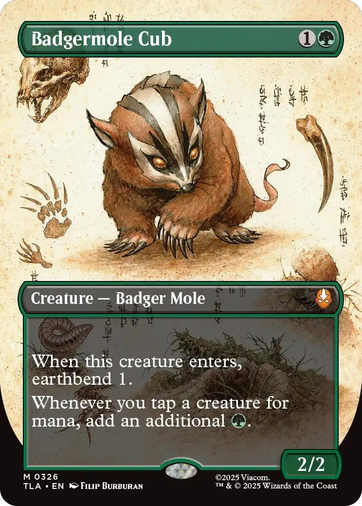 Image for Badgermole Cub (Borderless) (Avatar: The Last Airbender) (326) - Magic: The Gathering