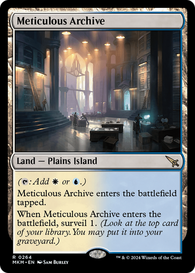 Meticulous Archive (264) (MKM)