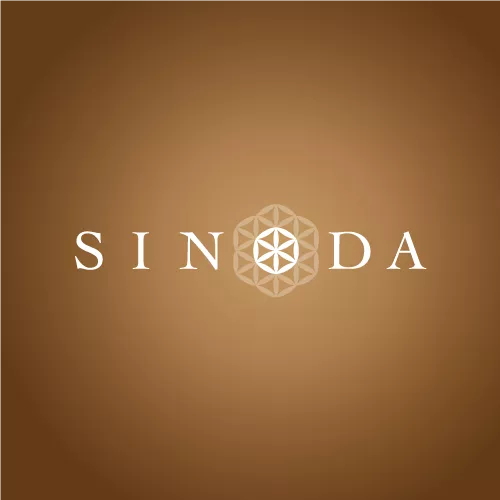 Sinoda (2024)
