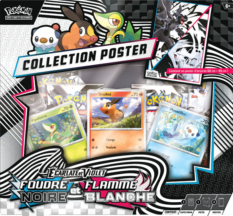 Pokemon - Black Bolkt & White Flare Poster Collection