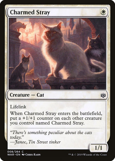 Charmed Stray (8) (WAR)
