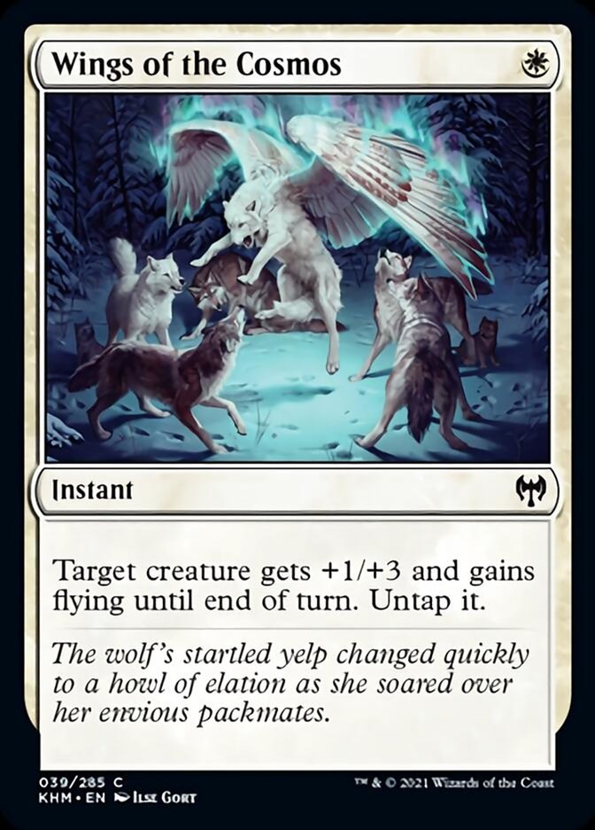 Wings of the Cosmos (39) (KHM)