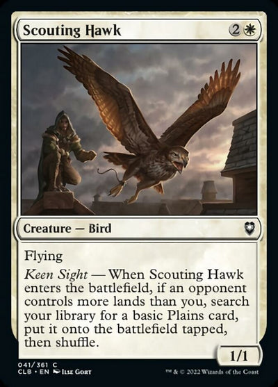 Scouting Hawk (41) (CLB)