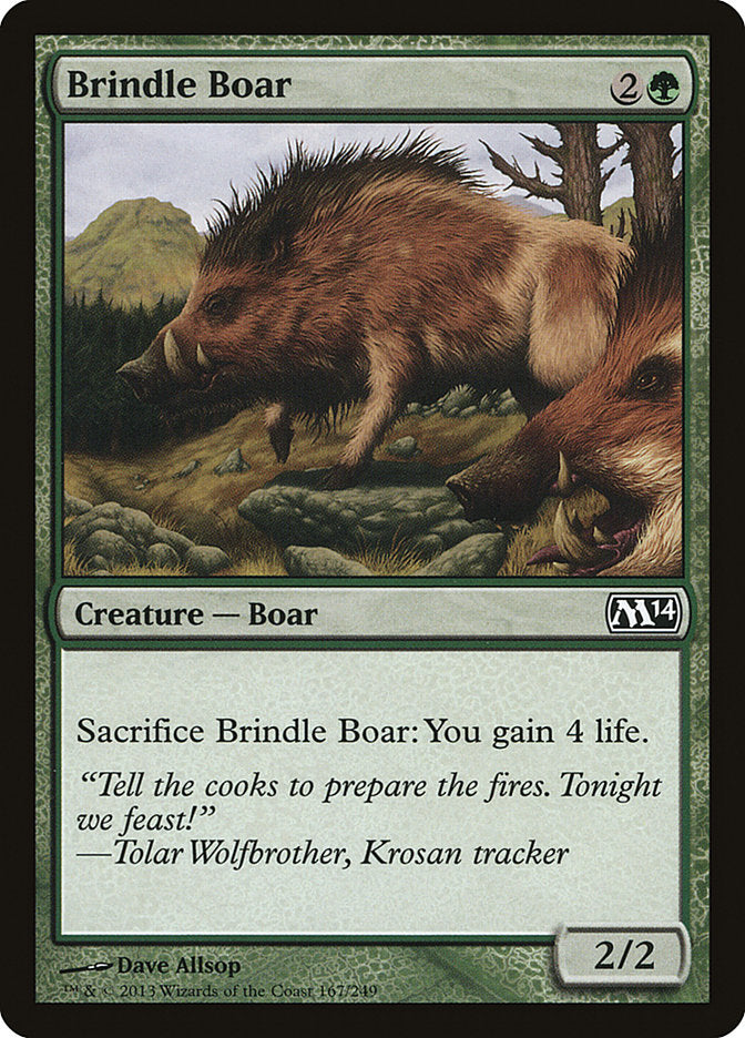 Brindle Boar (167) (M14)