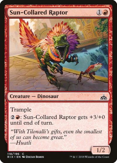 Sun-Collared Raptor (118) (RIX)