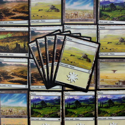 Plains (generic)