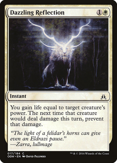 Dazzling Reflection (17) (OGW)