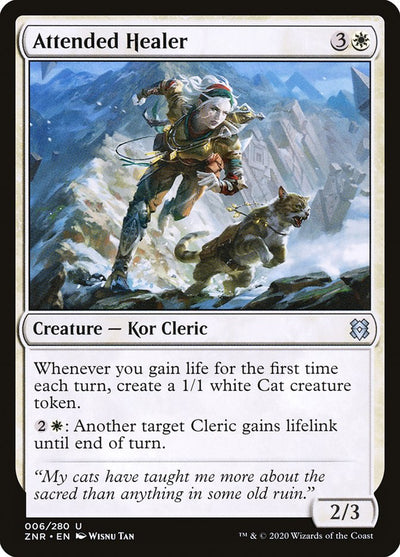 Attended Healer (6) (ZNR)