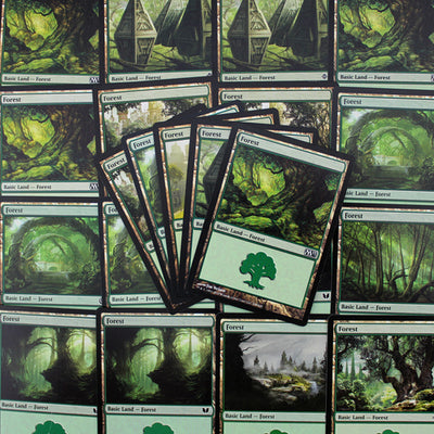 Forest (generic)